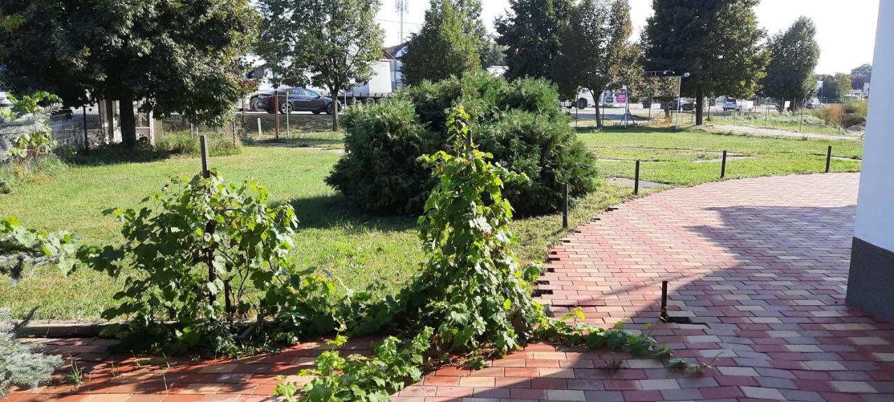 Begonia Vendeghaz Hotel Szigetszentmiklos Luaran gambar